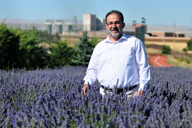 Afşin, lavanta tarlalarıyla turizme kapı aralıyor